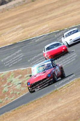 media/May-06-2023-Lucky Dog Racing (Sat) [[8f2256f436]]/Turn 2 10a/